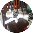 The Best Top 10 Licensed Money Lenders in Singapore 158 yusmarinda razak profile picture